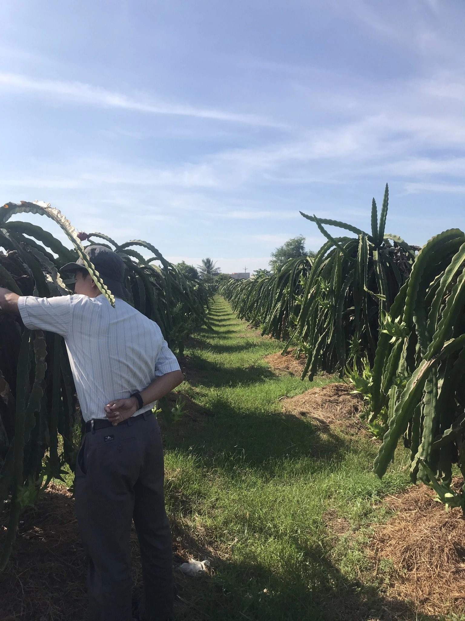 CÁC DÒNG SẢN PHẨM